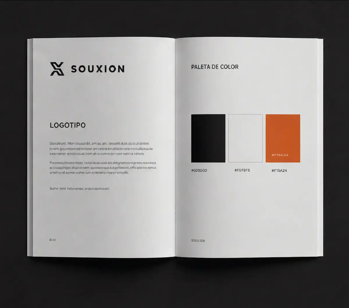 Manual de marca — proyecto SOUXION